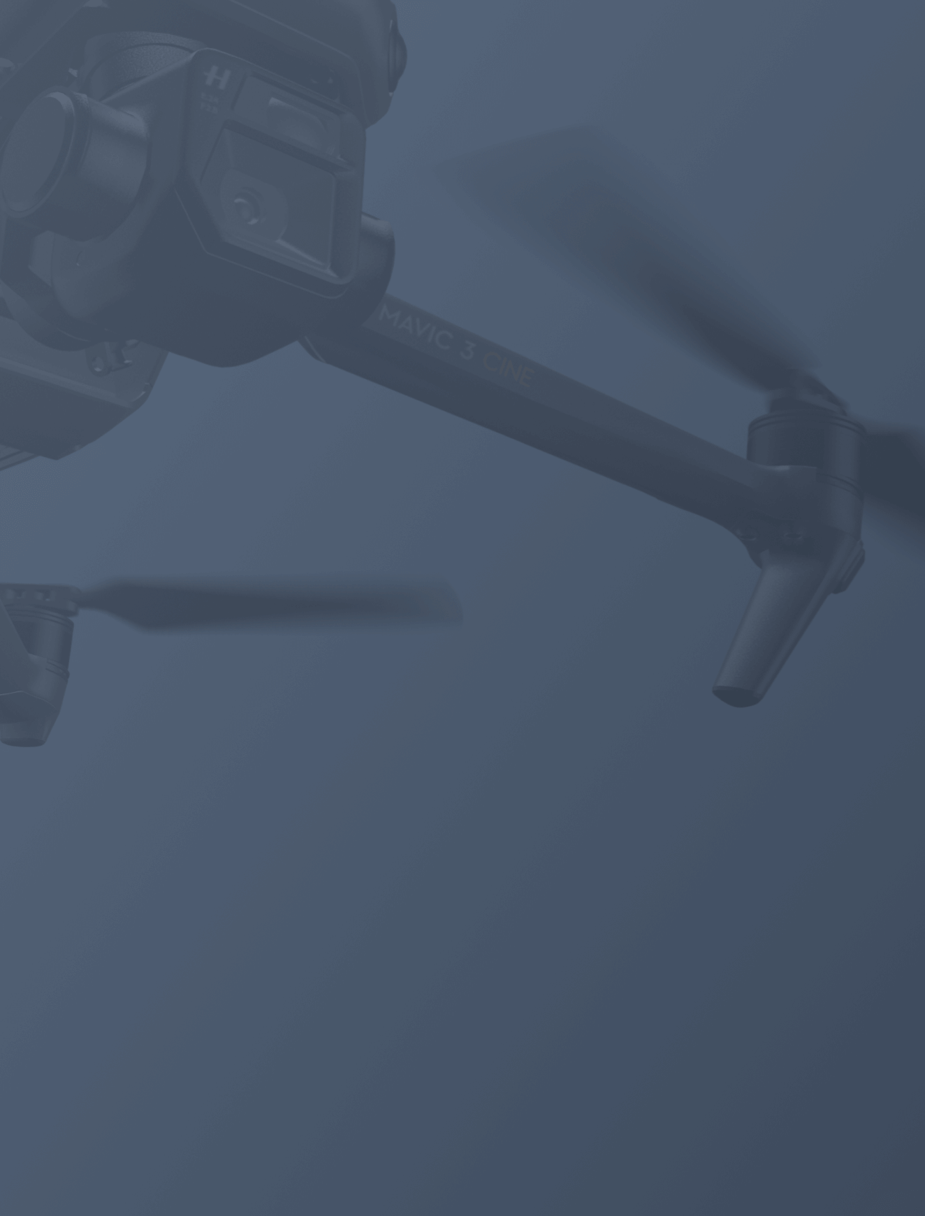 beespilot-background